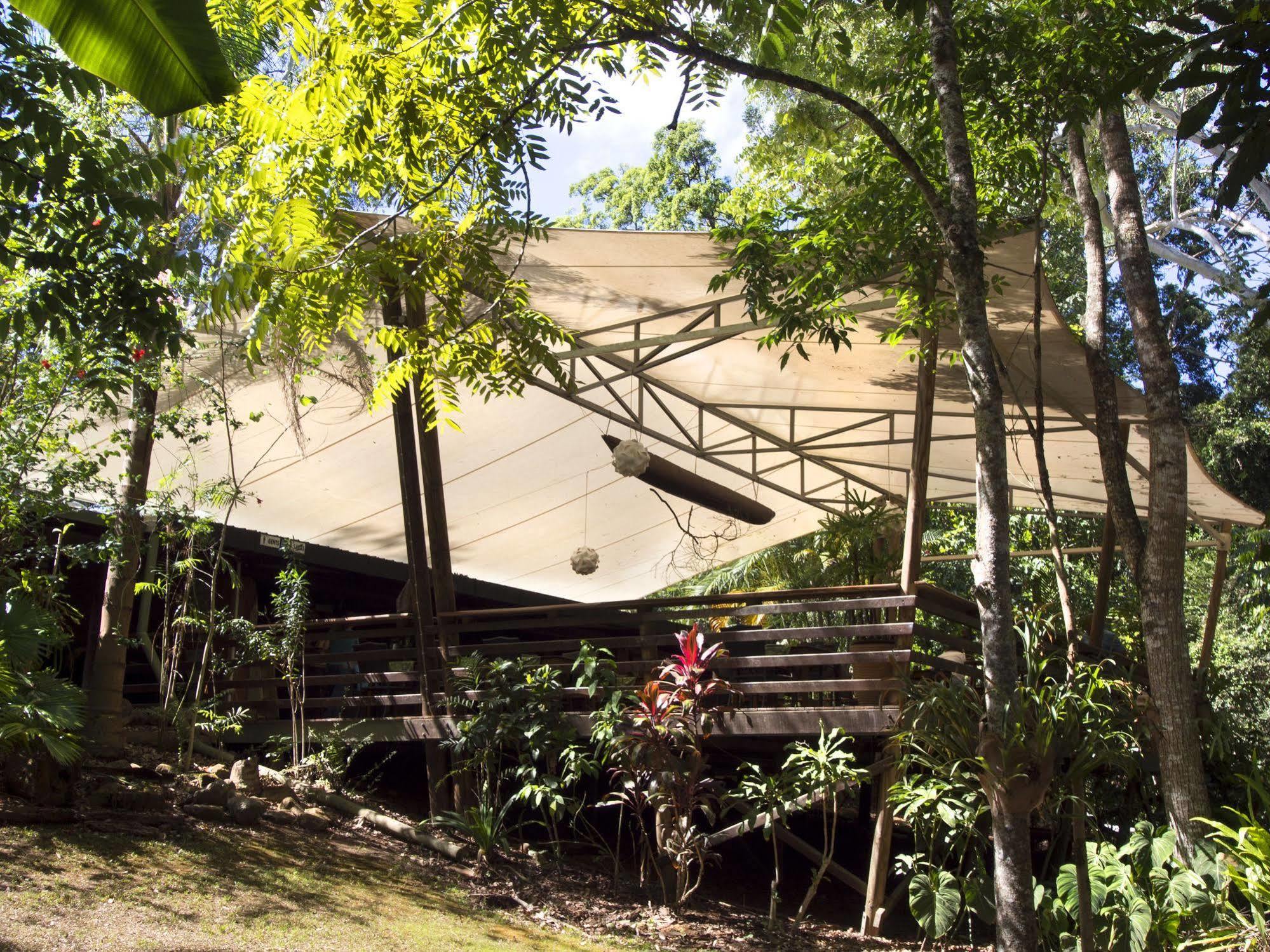 Cedar Park Rainforest Resort Koah Екстер'єр фото